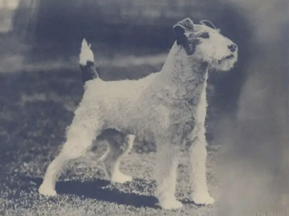 The Gossip Column: December 1, 2023